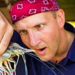 Sonny Side (Will Sonbuchner) — Host of Best Ever Food Review Show — 11.9M YouTube subs, 130+ episodes on Vietnamese cuisine